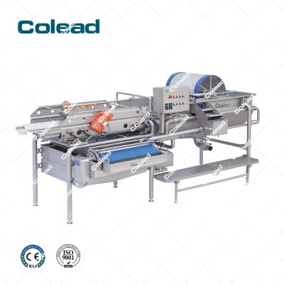 China High Efficiency Lettuce Washing Machine /salad Processing Line / COLEAD Salad Washing Machine for sale