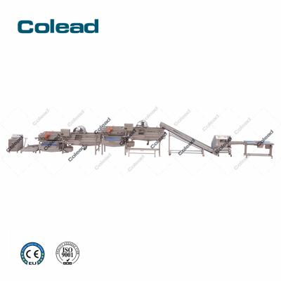 China Fully automatic frozen food industry vegetable and fruit processing line for food industry for sale