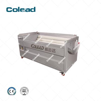 China Snack Factory Potatoes And Colead Cassava Peeling And Washing Machine for sale