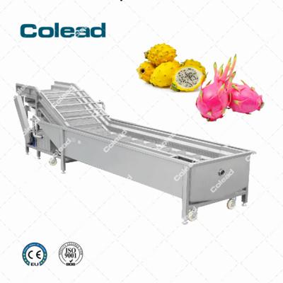 China Fresh Fruit And Vegetable Dragon Fruit Bubble Washing Machine And Industrial Fruit Washer for sale