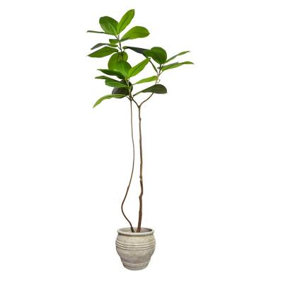 China Wholesale 150cm Artificial Rubber Ficus Plant Hot Sale Home Artificial Rubber Ficus New Design For Home Office Mall Cafe for sale