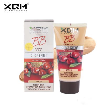 China Multifunctional Concealer Skin bbCream Waterproof To Make Up Foundation Liquid Concealer Private Label for sale