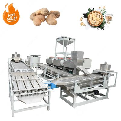 China Fully Automatic Full Automated Cashew Nut Production Cashew Processing Machinery In Vietnam for sale