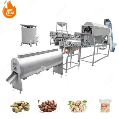 China High Effiency Calibrating Cashew Nut Size Sorter Raw Information Indian Cashew Nut Processing Machine Make for sale