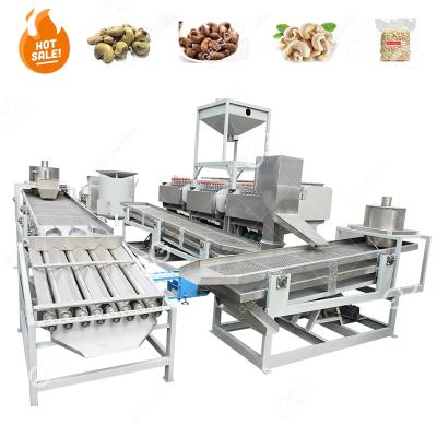 China High Effiency Cashew Classification Machine Raw Cashew Production Line China Small Scale Cashew Nut Processing Machine for sale