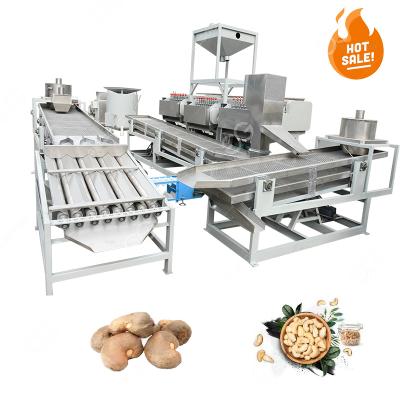 China High Effiency 2T/Day Cashew Nut Skin Peeler Machine Cashew Full Processing Machine Automated for sale