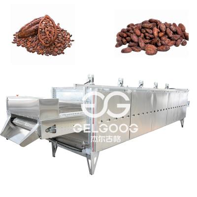 China Electric Cocoa Bean Roaster Machine For Sale Snack Factory Conveyor Almond Nut Toaster Roasting Prices Large for sale