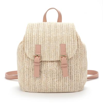 China Other Drawstring Lightweight Girls Backpack PP Straw PU Strap Magnetics Clasp Backpack for sale