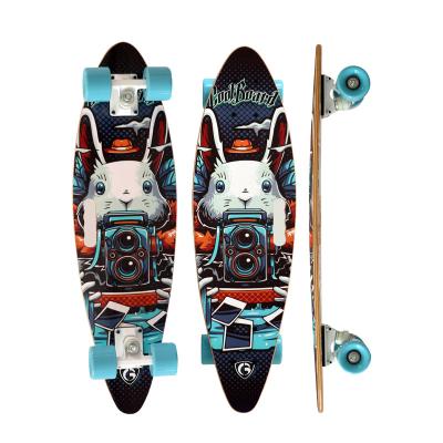 China High Quality Youth Alloy Truck Cruiser Fish Style Skateboards For Outdoor Sports for sale