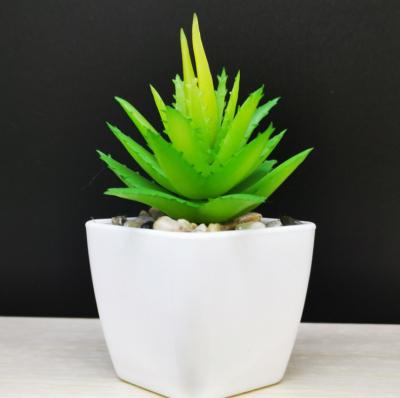 China Decoration Green Artificial Plastic Pot For Home Decor Mini Artificial Plant White Plastic Hot Selling Pots for sale