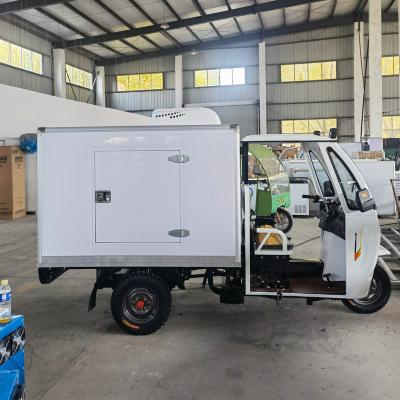 China Hotels Gasoline / Electric Refrigerated Tricycle With Small Refrigerated Food Box Mini Cold Room for sale