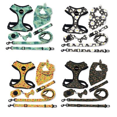 China Custom Breathable Medium Dog Cat Leash Pet Chest Strap Small Dog Leash Spot Fashion Personalized for sale