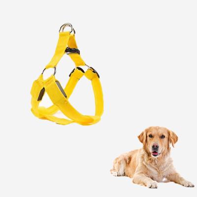 China Custom Safety Dog Belt Harness Nylon Glow Led Instant Flashing Light Up Leash Led Light Dog Safety Harness for sale