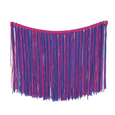 China Easy To Match Fashion New Design Colorful Tassel Fringe Trim Along For Dress for sale