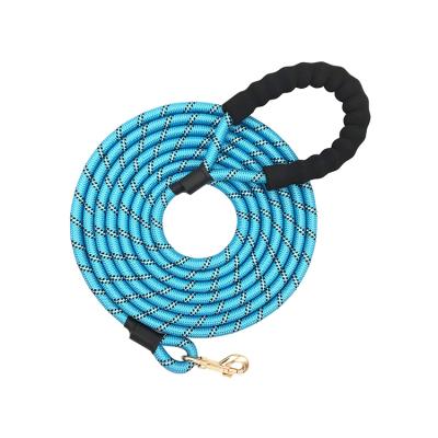 China 2021 reflective hot selling most popular dog leash reflective tactical nylon leash for sale