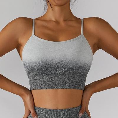 China Breathable Custom Design Hot Sales Padded Seamless Sports Bra Mesh Back Round Neck Suspenders Top Gradient Fitness Gym Bra For Women for sale