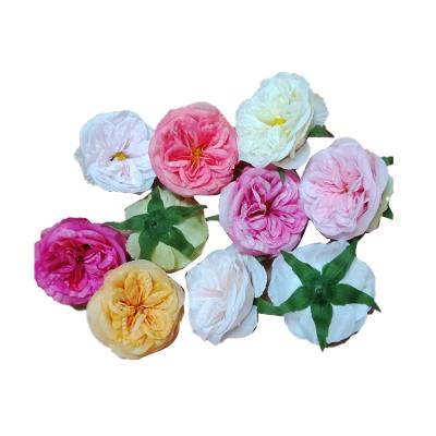 China 210 Artificial Silk Fabric Plants Most Popular Artificial Rose Preserved Austin Rose For Shop Decoration for sale