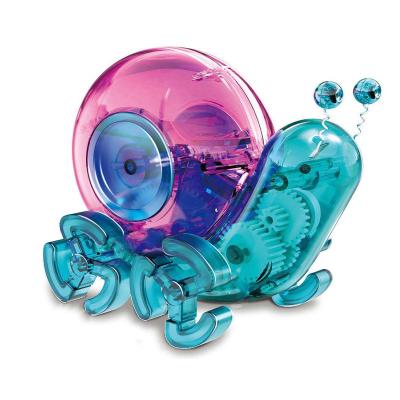 China Upgrade newcomer 2021 child's ability manual to assemble diy educational rod snail solar toys for kids solar powered toys for sale