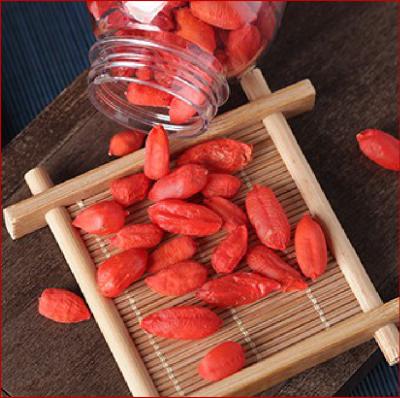 China Organic Food Freeze Dried Goji Berry Extract Organic Goji Berries for sale