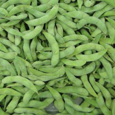 China Organic Food Supplier High Quality Frozen Green Soybean Husks IQF Frozen Green Soybean Husks Cheap Bulk Edamame In Soybean Husks for sale