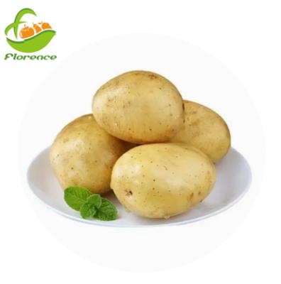 China Wholesale High Quality Volume Fresh Potatoes for sale