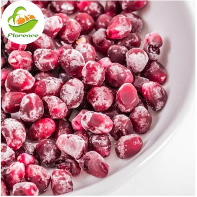 China Healthy Export Pomegranate Fruit Frozen Pomegranate Seeds for sale