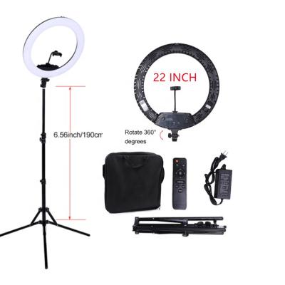 China Shenzhen PORTABLE portable usb controller led 22 inch whip beauty ring light for sale