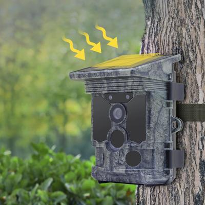 China Wifi Motion Detection Trail Camera Waterproof IP66 Game Hunting Camera 4K Infrared Solar Hunting Camera for sale