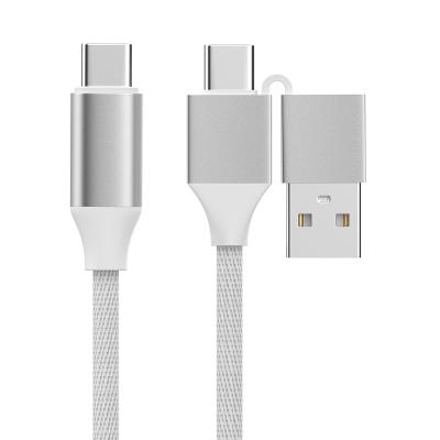 China 2IN1 Braided Charging Cable With 60W Output And 480Mbps Transfer Speed Length for sale