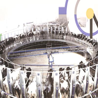 China Electronic meter milking system rotary milking parlor for dairy farm Te koop