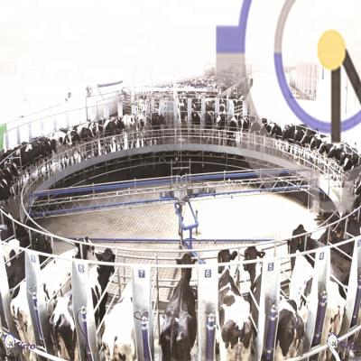 Cina Electronic meter rotary milking parlor for dairy farm in vendita