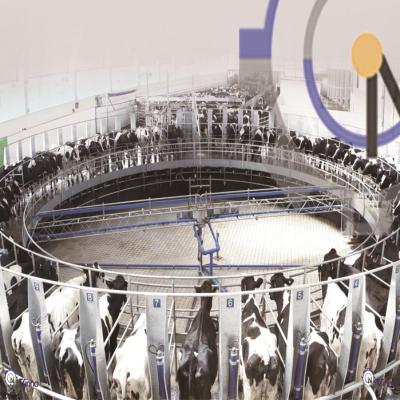 Cina Electronic meter rotary milking parlor for dairy farm in vendita