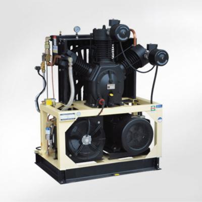 Κίνα Tenyue High Pressure Electrical Car Portable Air Compressor Machine Prices Air Condition Compressor Pump 12v 500 Liter προς πώληση