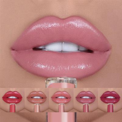 China Maquiagem Waterproof 12 Colors Makeup Matte Lip Plumping Gloss Waterproof Long Lasting Non Sticky Nude Liquid Lipstick for sale