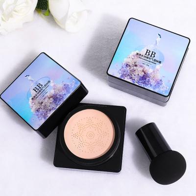 China Moisturizer Maquiagem Mushroom Air Cushion Base Prime Makeup Whitening Long Lasting Concealer Pencil BB Cream for sale