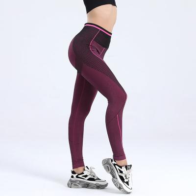 China QUICK DRY Seamless High Tummy Yoga Pants Tender Tender Lifting Yoga Pants Waist Lifting Sexy Leg Balancing Gaiters Female for sale