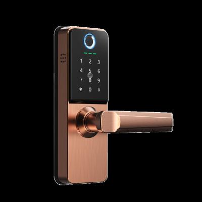 China High Quality Modular Security Fingerprint Security Pass Code Hotel Apartments Office TT Smart Lock Home New Modular Electronic Door Lock for sale