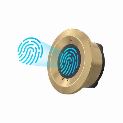 China Fingerprint Unlock Furniture Smart Fingerprint For Office High Quality Biometric Fingerprint Drawer Lock for sale