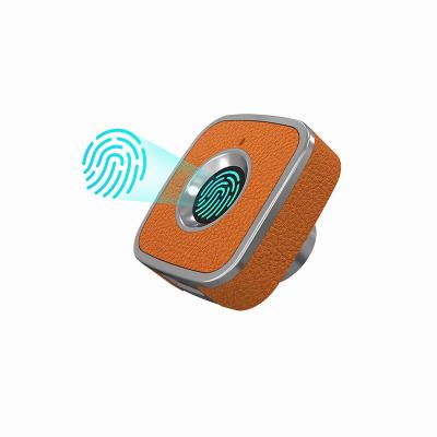 China Smart Fingerprint Open Password Electronic Fingerprint Intelligent Cabinet Lock For Desk Drawer for sale