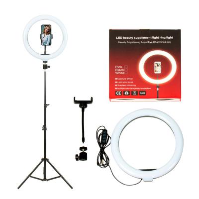 China 10 inch PORTABLE Ring Light, Selfie Ring Light with Tripod Stand, LightRing for Live Video Recording YouTube Instagram TIK Tok for sale