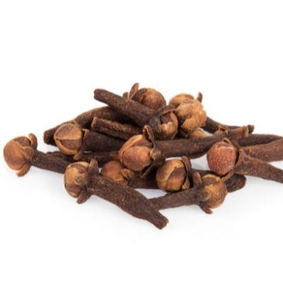 China Relieve Inflammation Clove for sale