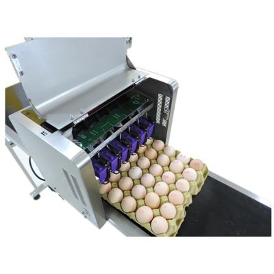 China Egg Code Printer Egg Tray Printer Egg Batch Printing Machine 6 Head for sale