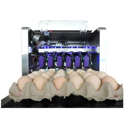 China Automatic Egg Printing Machine High Resolution Egg Due Date Printer Printing Machine for sale