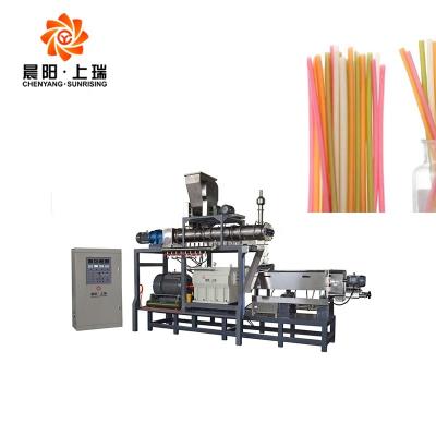 China food & Plant Straw Making Machine Edible Beverage Rice Straw Making Machine Rice Straw Machine for sale