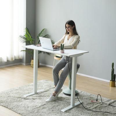 China Cheap White Electric Sit Stand Up Standing Desk Motor (Height) Best Selling Adjustable Double for sale