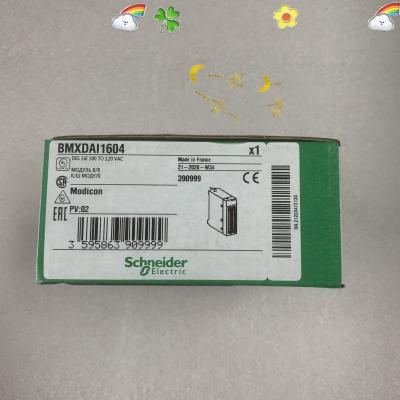 China SCHNEIDER BMXDAI1604 Modicon Input Module 50 / 60HZ 100 / 120VAC NEW for sale