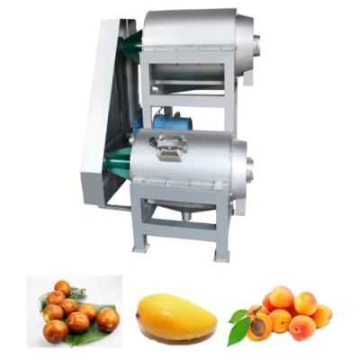 China Juice factory double stage mango/banana fruit/apricot/vegetable pulping machine juice making machine 2tph-20tph for sale