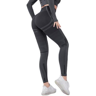 China Breathable Fishing Fitness Sweatpants Tall Yoga Pants Hip-Lifting Skinny Butt Shaped Gaiters for sale