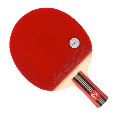 China Professional PingPang Star PingPang Racket 4 Table Tennis Racket Fish Double Level Durable Single Table Tennis Racket for sale