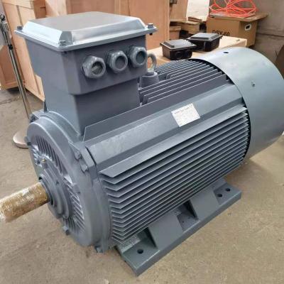 China 200RPM 500KW pmg Generator Alternative Energy Permanent Magnet Generator DM-500k for sale